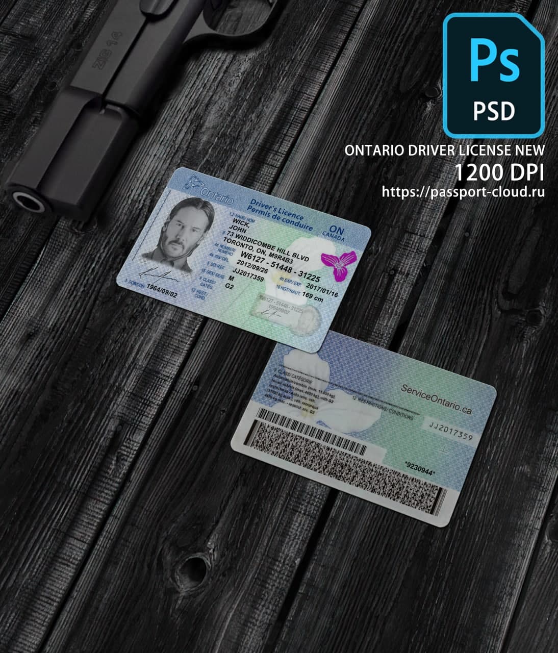 United States of America Driving-0