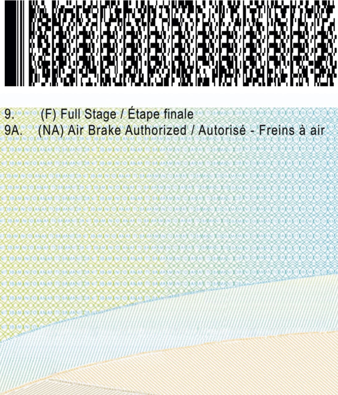 United States of America Driving-4