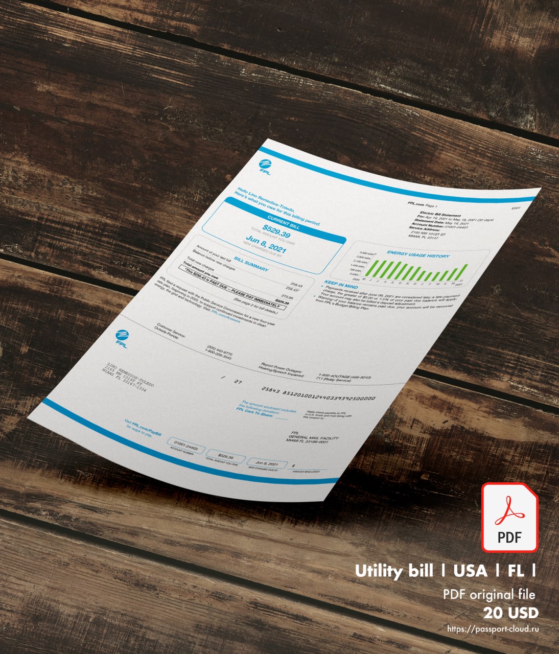 Utility bill | FPL | USA | FL-0