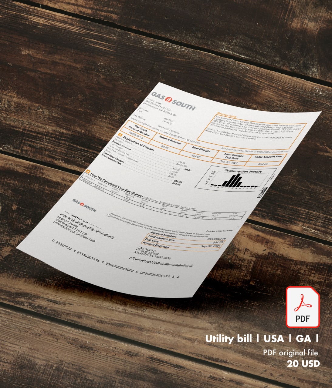 Utility bill |  GASSOUTH | USA | GA-0